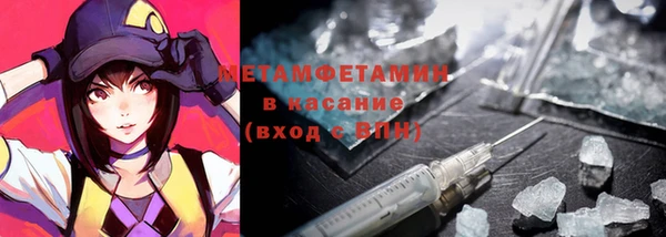 прущие грибы Волоколамск