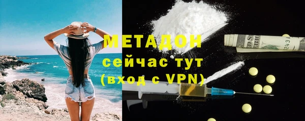прущие грибы Волоколамск