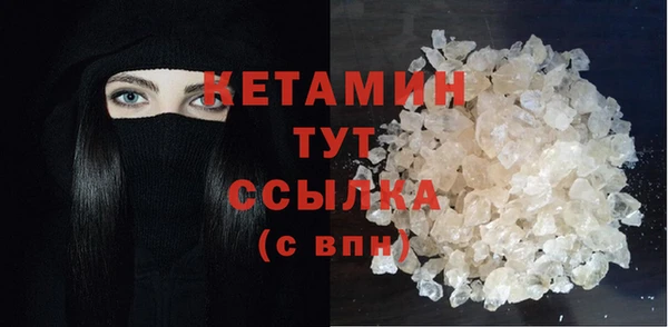 прущие грибы Волоколамск
