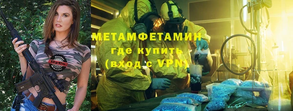 прущие грибы Волоколамск