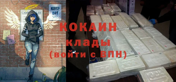 прущие грибы Волоколамск